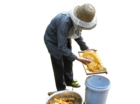 蜂農(nóng)
