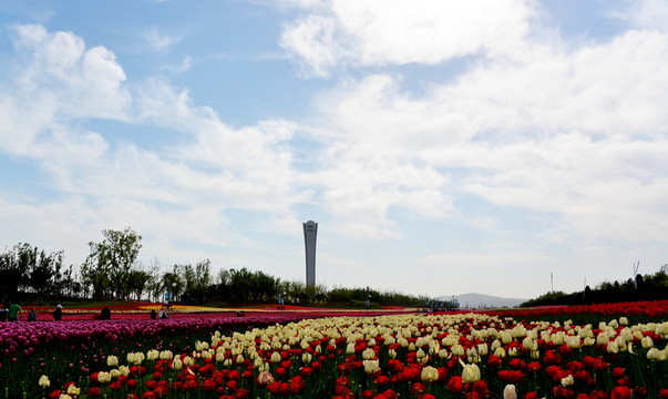錦州世博園