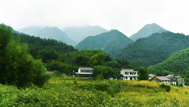 山林人家