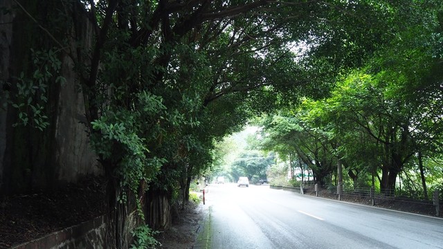 山路