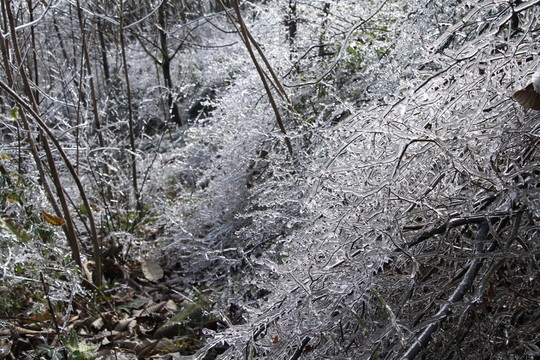 冰雪世界