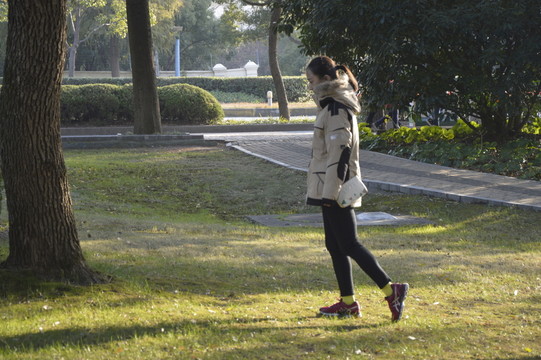 冬日公園一日游