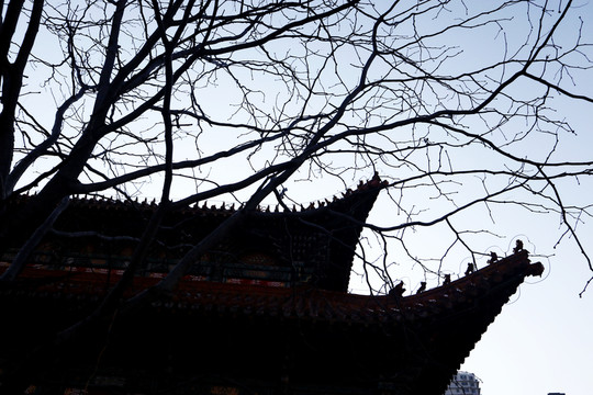 吉林文廟 古建筑 孔廟