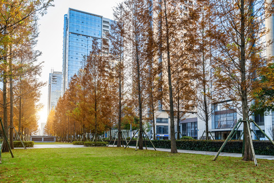 重慶城市公園