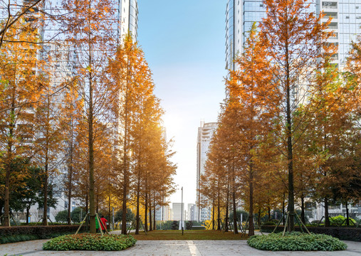 都市公園