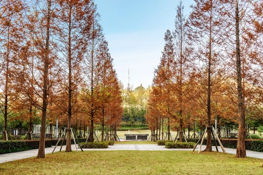 都市公園