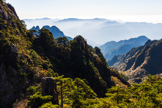 黃山