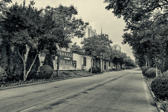 淄博高新區(qū)政通路老照片