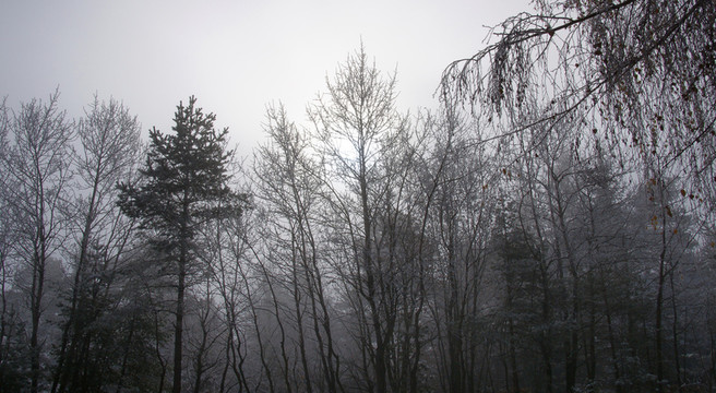 herbstzauber