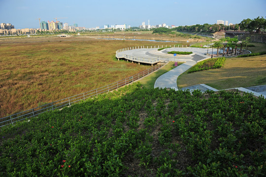 濕地公園