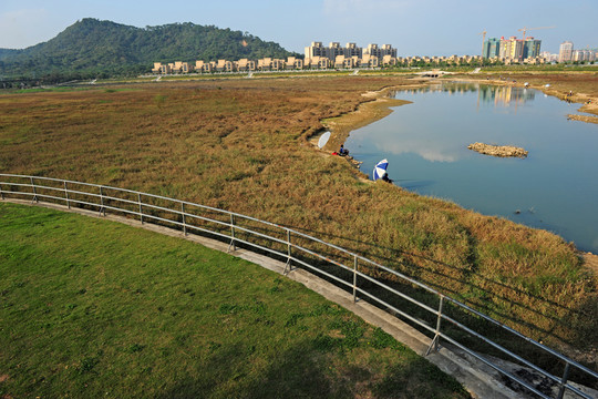 濕地公園