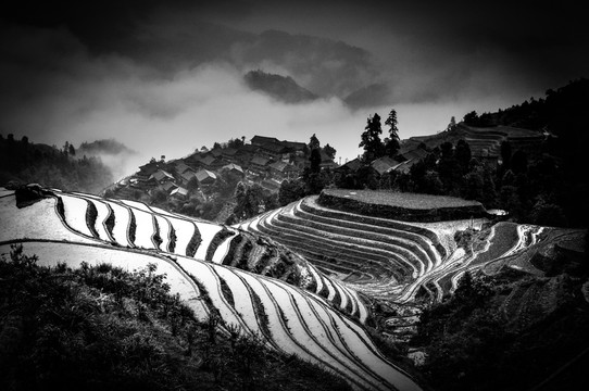 黑白梯田