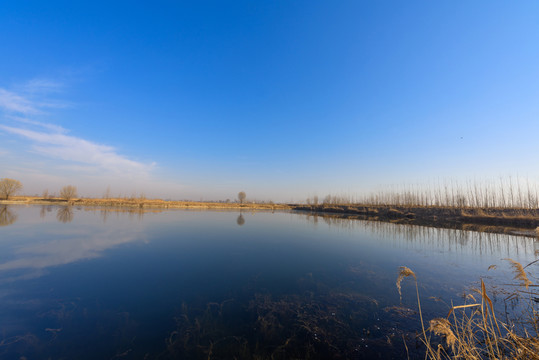 濟南龍湖濕地 （8）