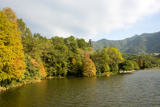 深圳仙湖植物園