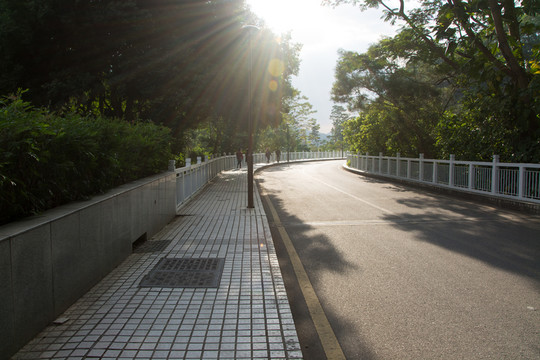 馬路