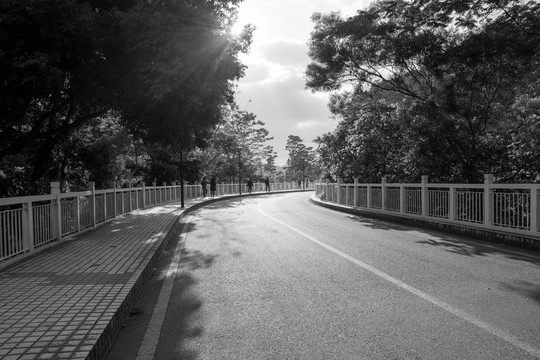 馬路