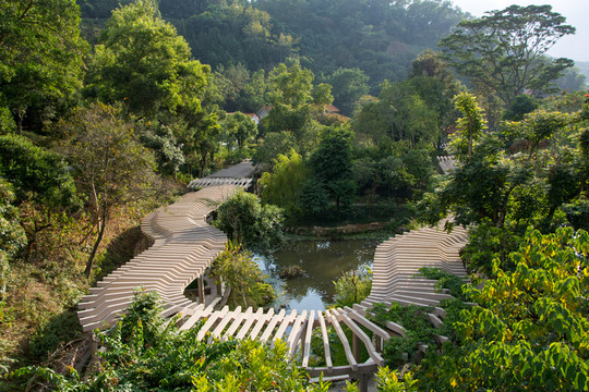 深圳仙湖植物園