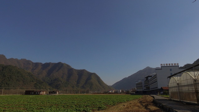 油菜田