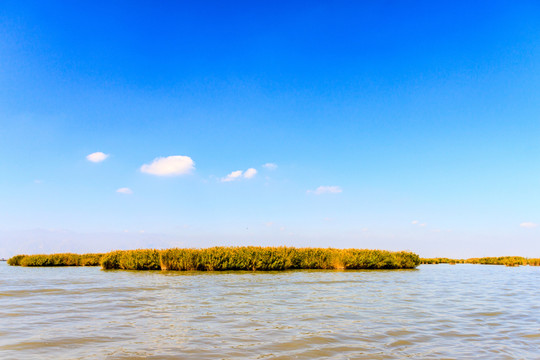 沙湖風(fēng)光