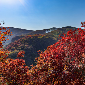 大山紅葉