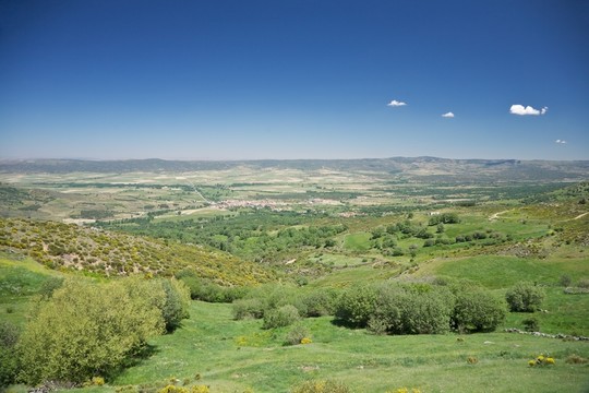 田