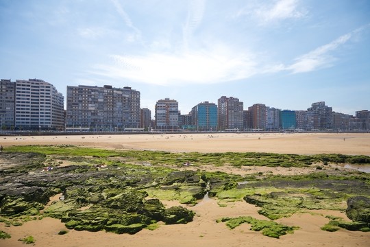 城市