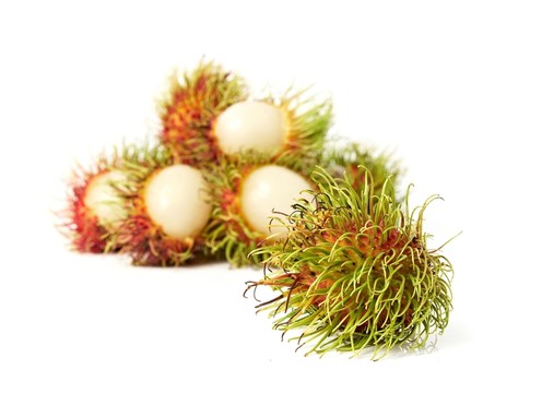 食物
