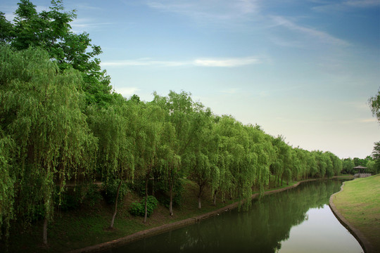 安徽合肥三國(guó)新城遺址公園