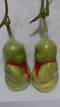 人參果2