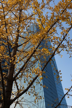 上海 城市 休閑 中國(guó)文化
