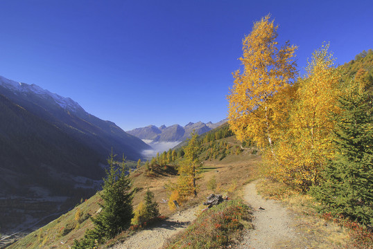 山