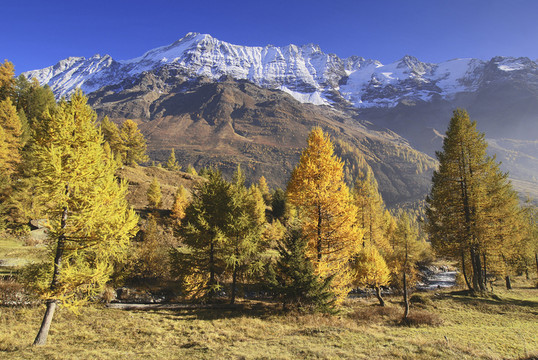 山