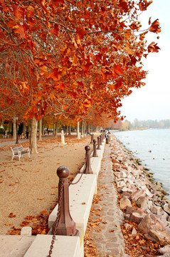 公園