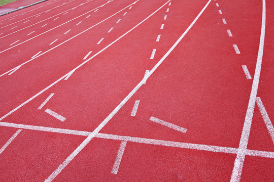 運動