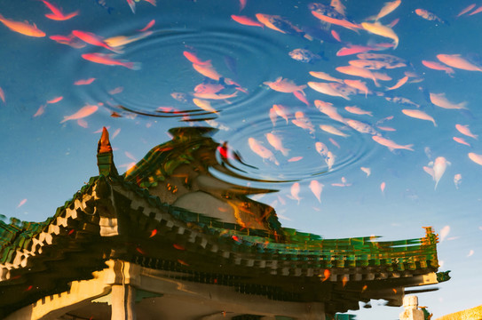東湖冬景