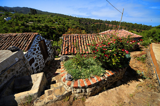 Finca vi