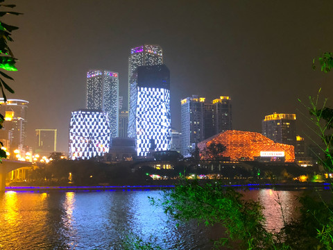 柳州城市夜景 柳江大橋