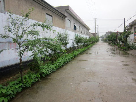 街道 鄉(xiāng)村