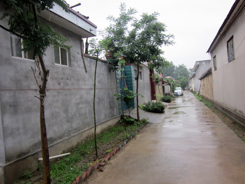 新農(nóng)村  農(nóng)村建筑