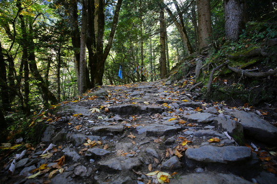 德欽縣雨崩村朝圣之路