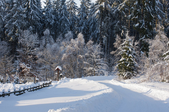 多雪的小路