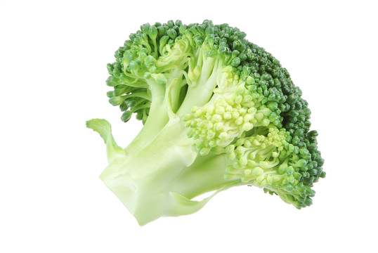 食物