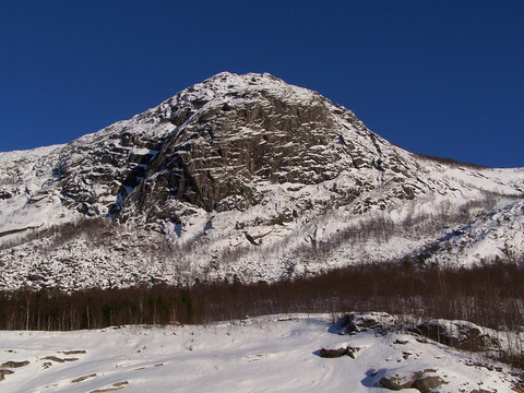 stetind