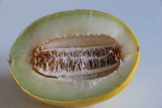 成果