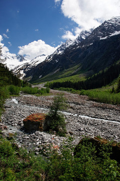 山