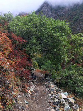 德欽尼農(nóng)峽谷