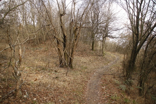 山路