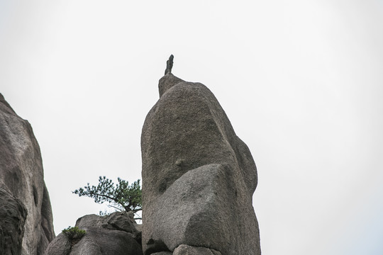 黃山奇石