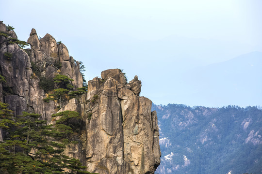 黃山松石圖