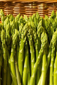 美食學(xué)